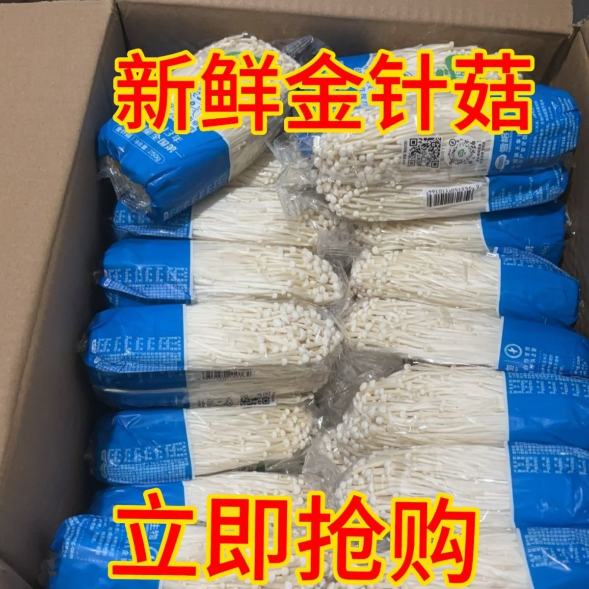 现摘鲜金针菇食用菌新鲜菌菇家用商用经济款