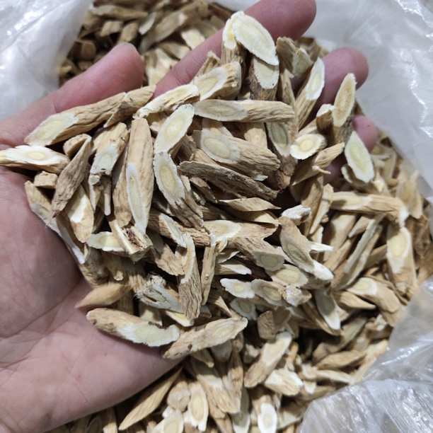 村村兴甄选～野/生/小黄芪