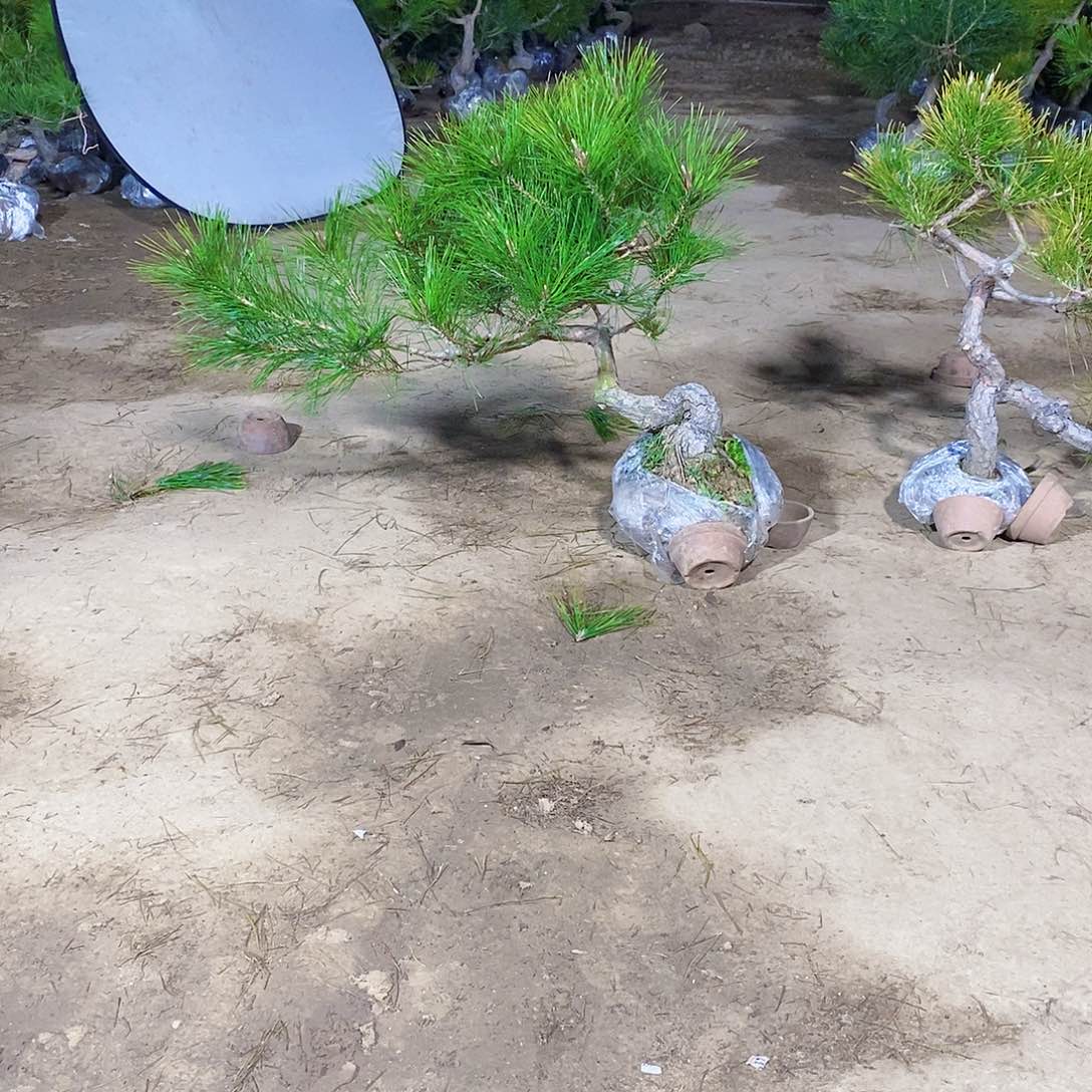 李***輝完全开放111111111111