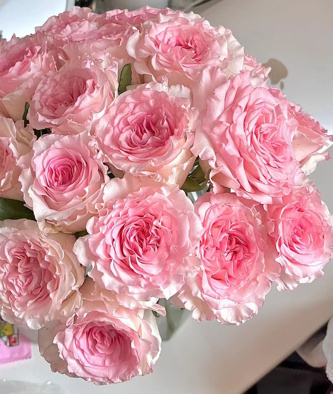 洛神玫瑰--任意两单顺丰包邮