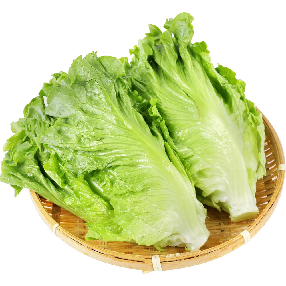新鲜生菜300g生菜