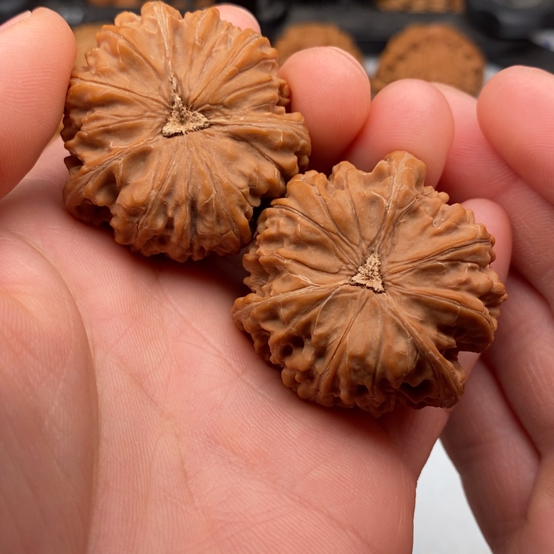 文玩核桃把件尖***员41三棱