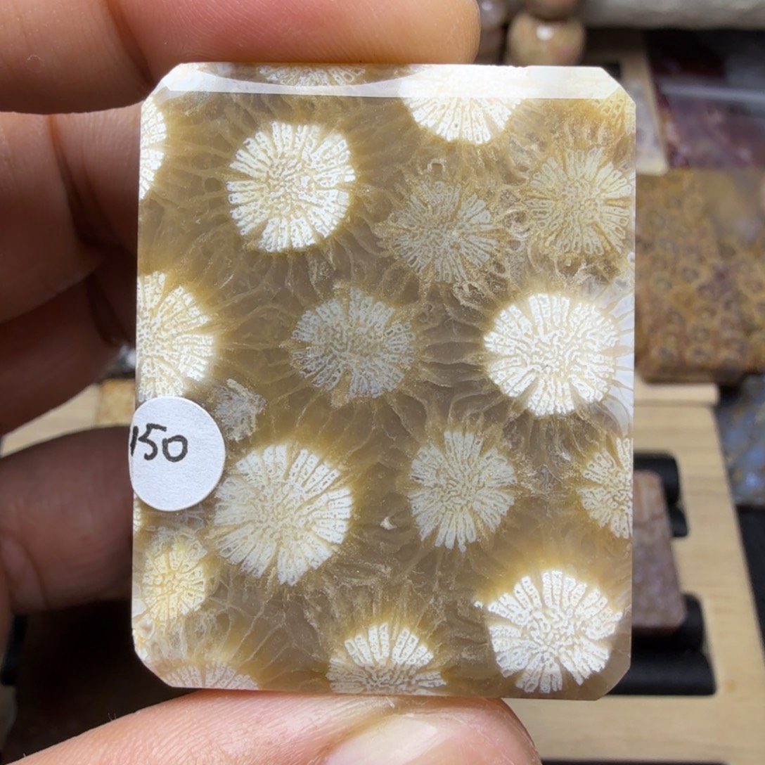 硅化玉未镶嵌纯天然色有机玉石保真色