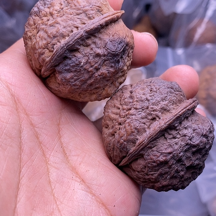 文玩核桃把件  58