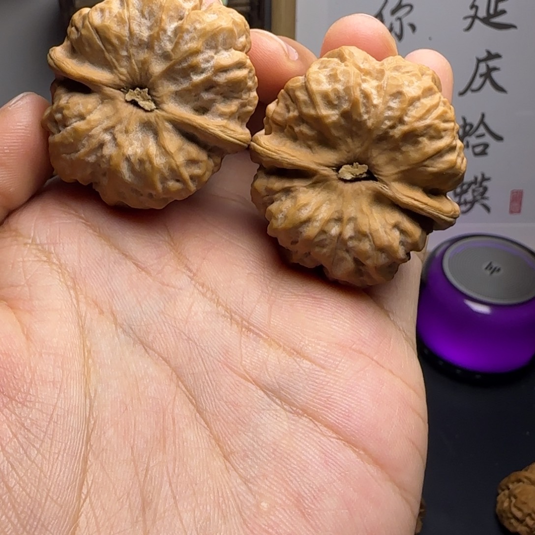 老***虎蛤蟆头39✖️42尺红皮