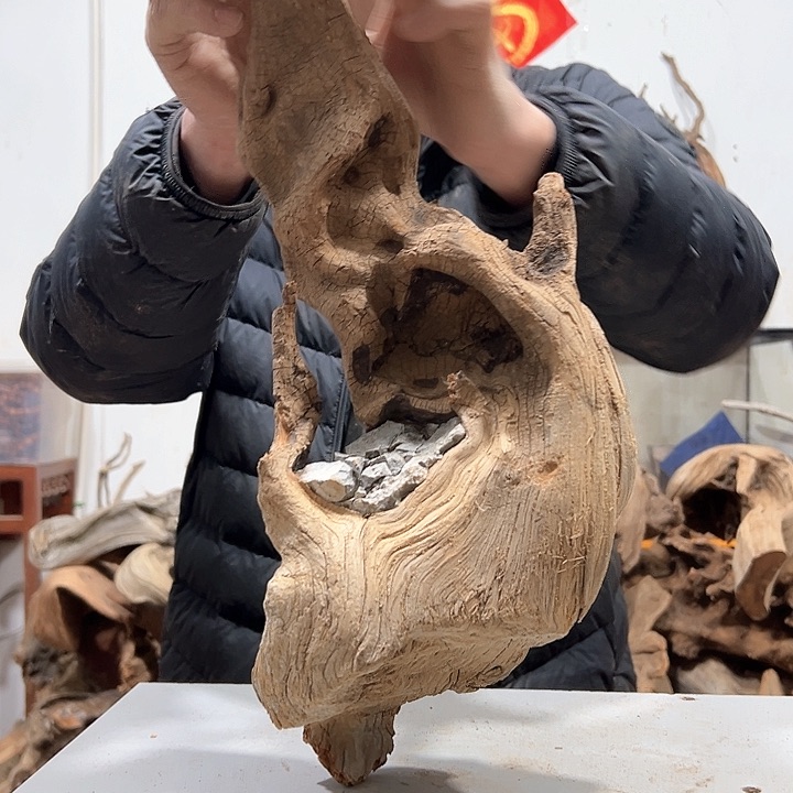 柏木一**舟我们的生活也会变