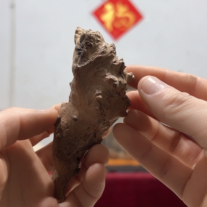 柏木晟*我们的生活是以自己