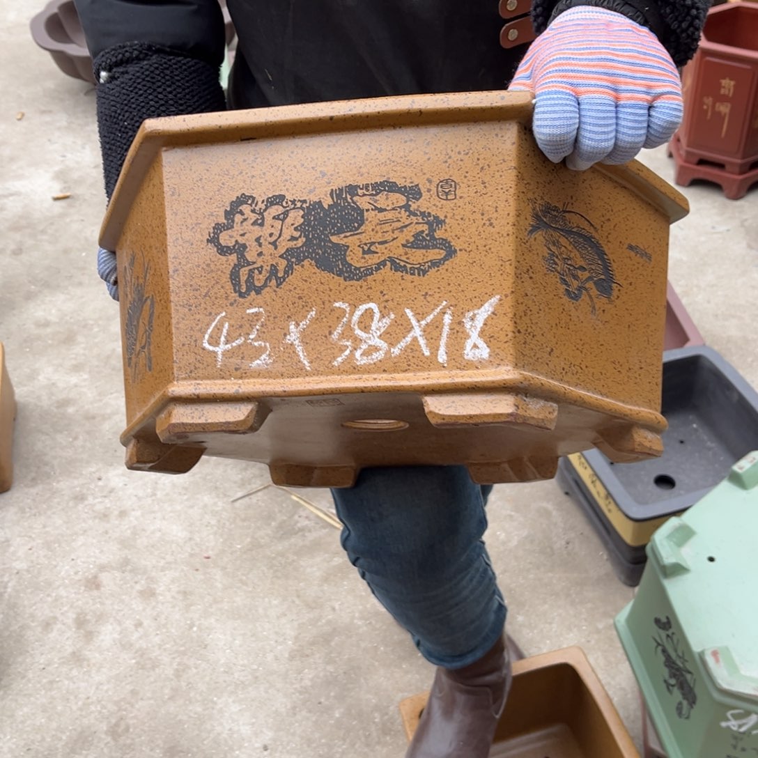 紫砂花盆盆景艺术