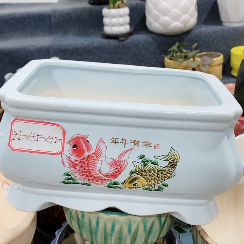 【闪购商品】陶瓷陶瓷花盆，多肉花盆