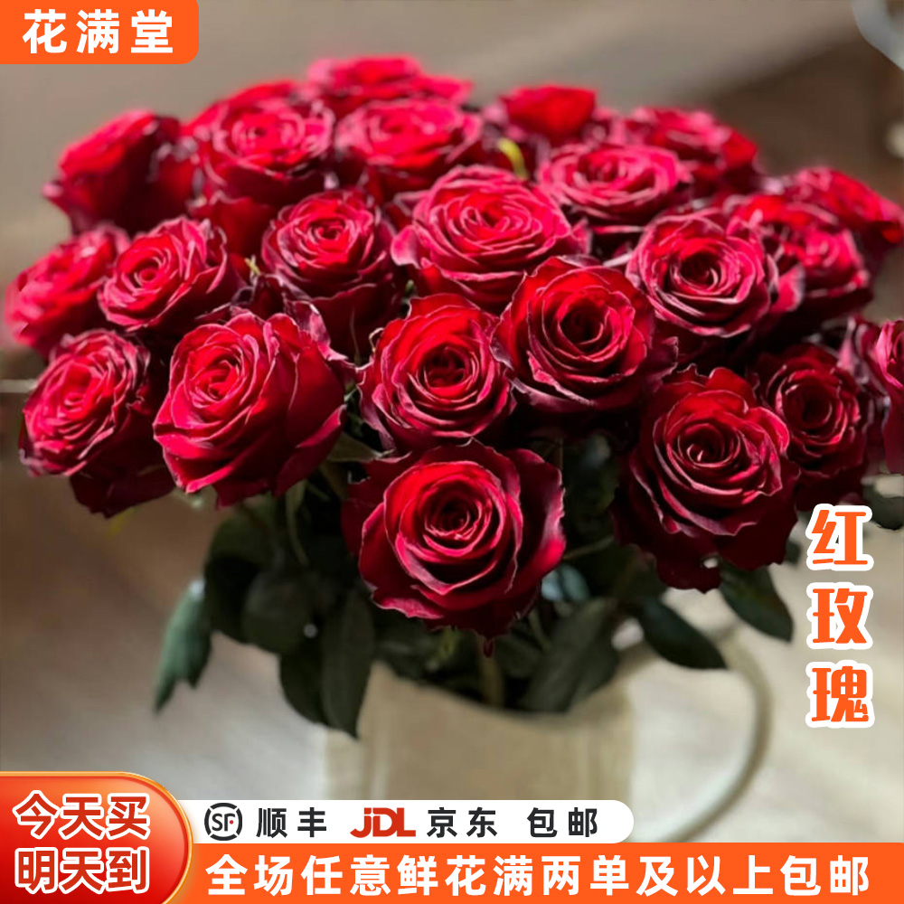 【次日达·红玫瑰】红玫瑰10枝鲜切花生活鲜花·全场两单顺丰包邮·基地直发·鲜切花批发·生活鲜花次日达