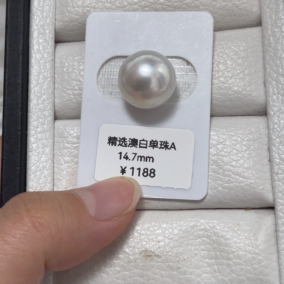 未镶嵌澳白单珠14-15mm特价海水珍珠