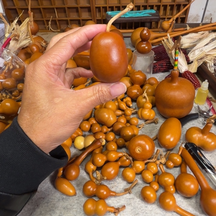 曾***经曾经历一把小冬瓜曾经的一把