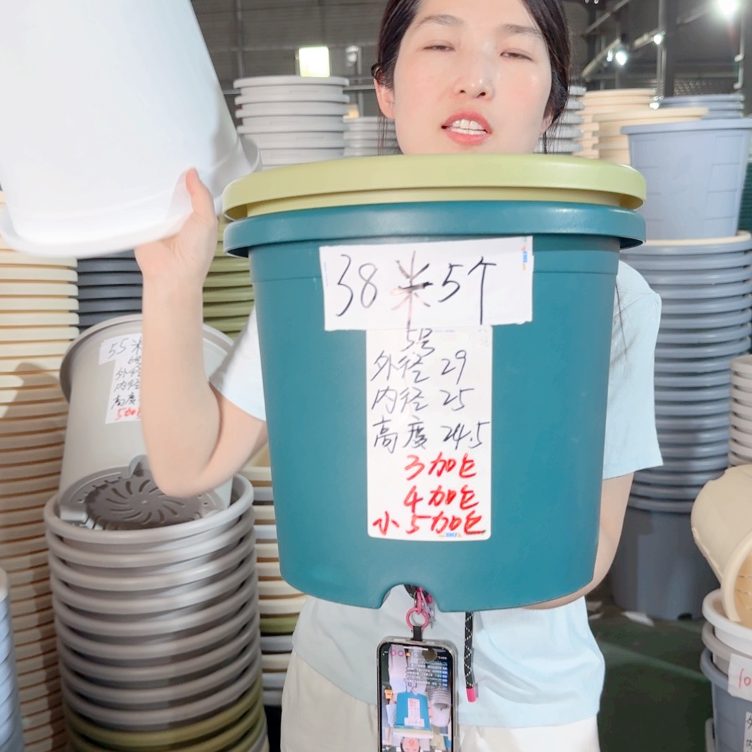 微瑕5#无拖果绿6个