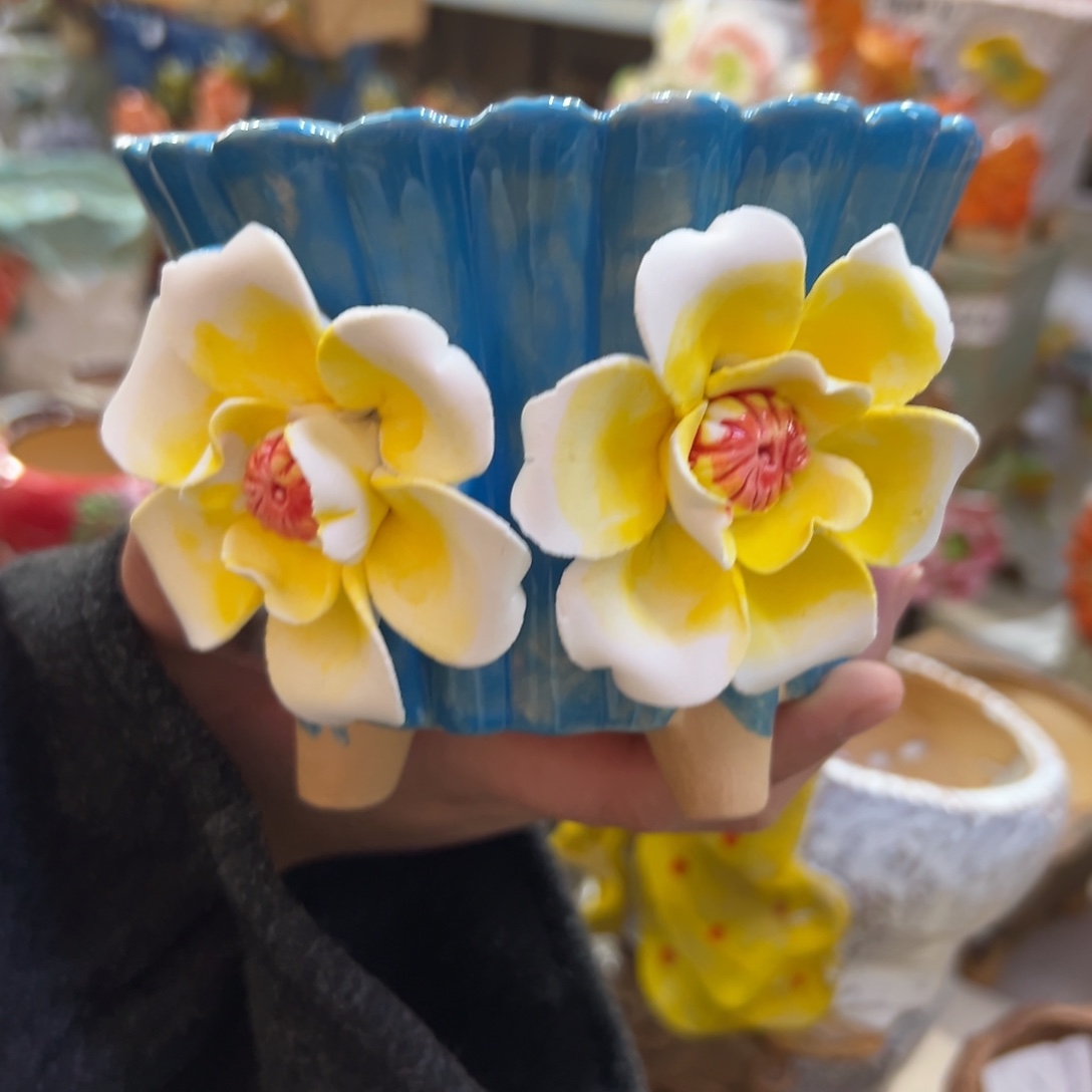 满20米秒退拉黑花盆