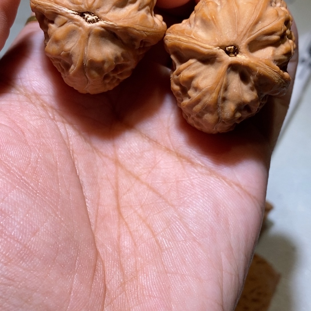 ﷽***﷽手串/手链核桃舍利36