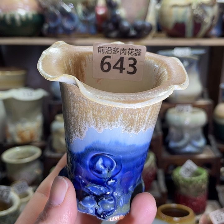 狼盆内口径5高度7