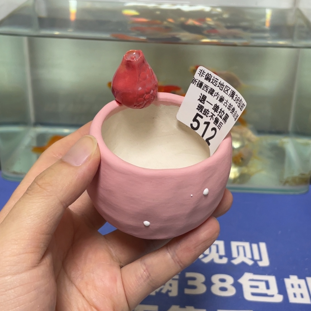 特价微瑕疵不退不换哦512