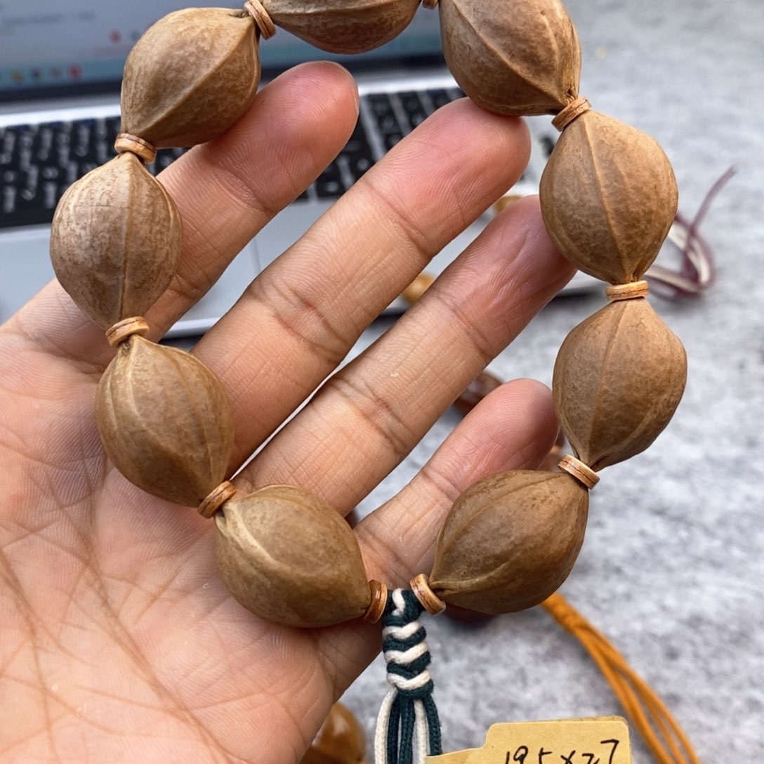 橄榄核手串/手链19.5/27鲨鱼背