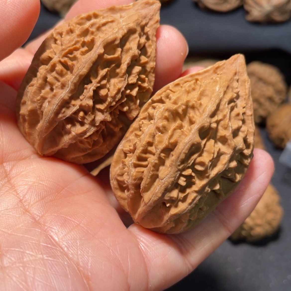 【闪购商品】文玩核桃把件东北秋天56