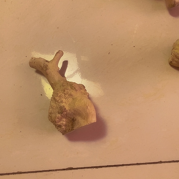 太***樵黄杨木等多种木材