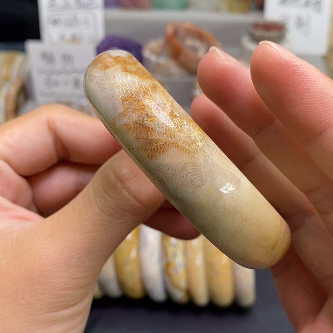 硅化玉未镶嵌手镯