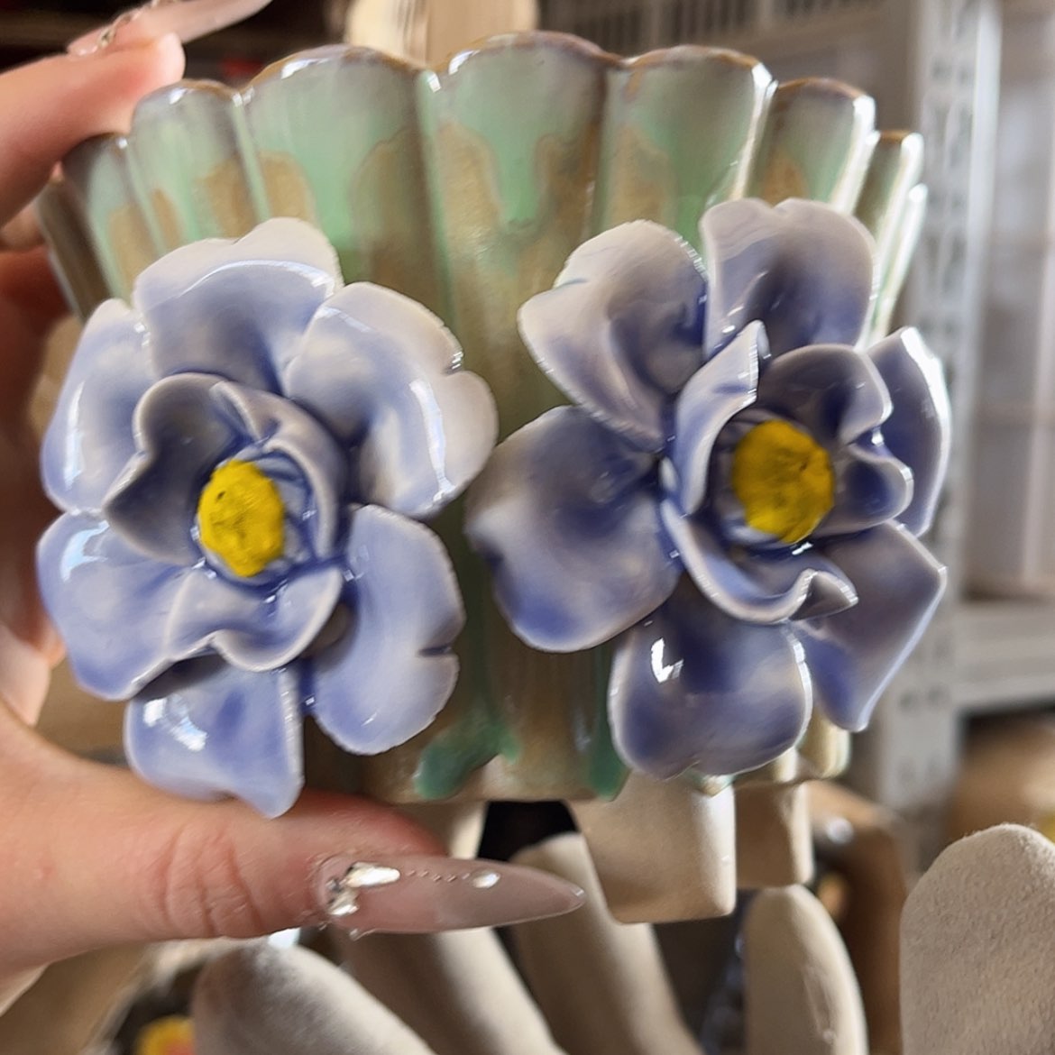 【闪购商品】红陶福利