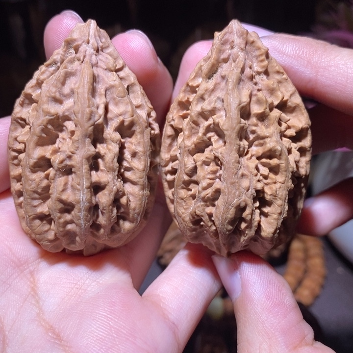 把件文玩核桃东北野生楸子小园204