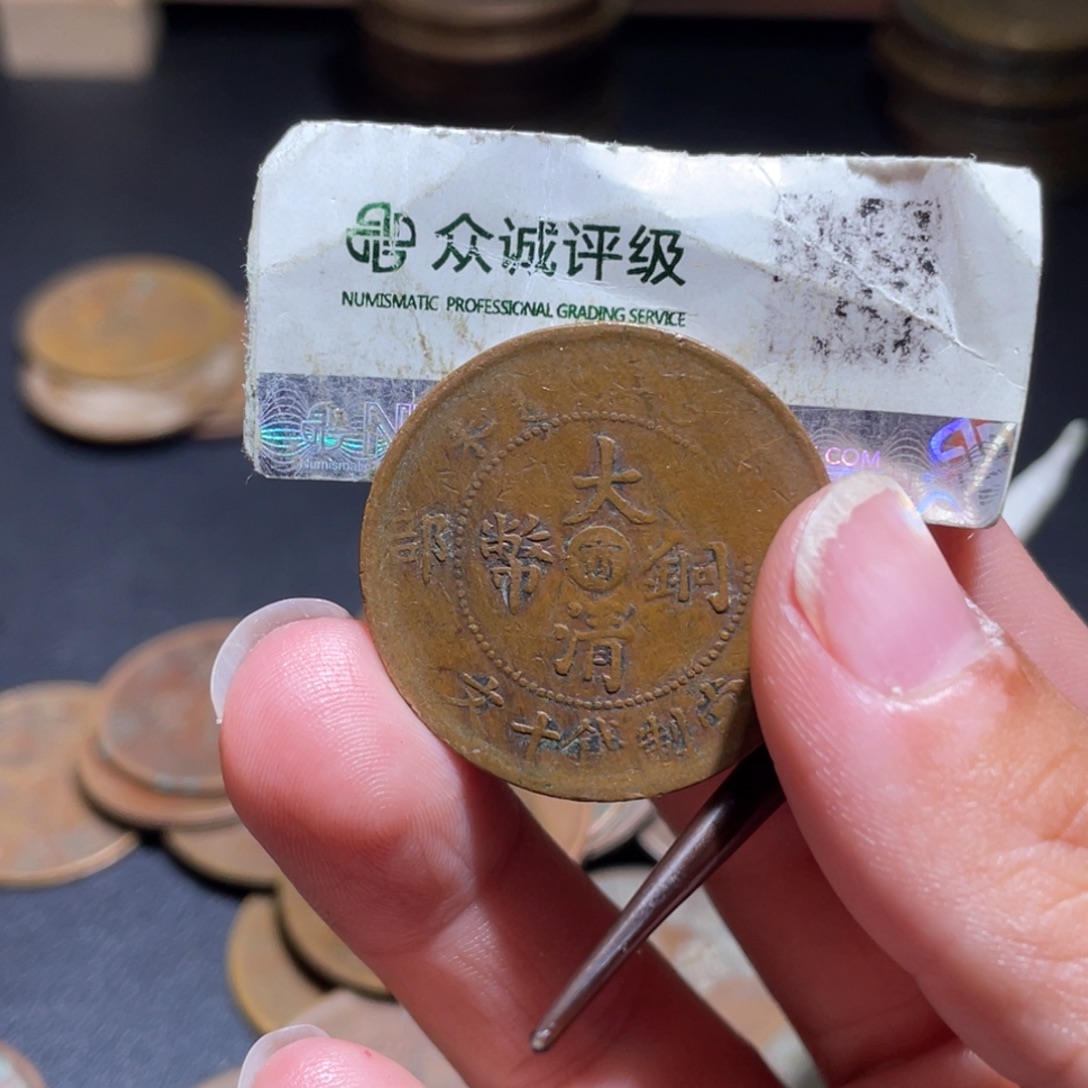 金博古通今肉丸20