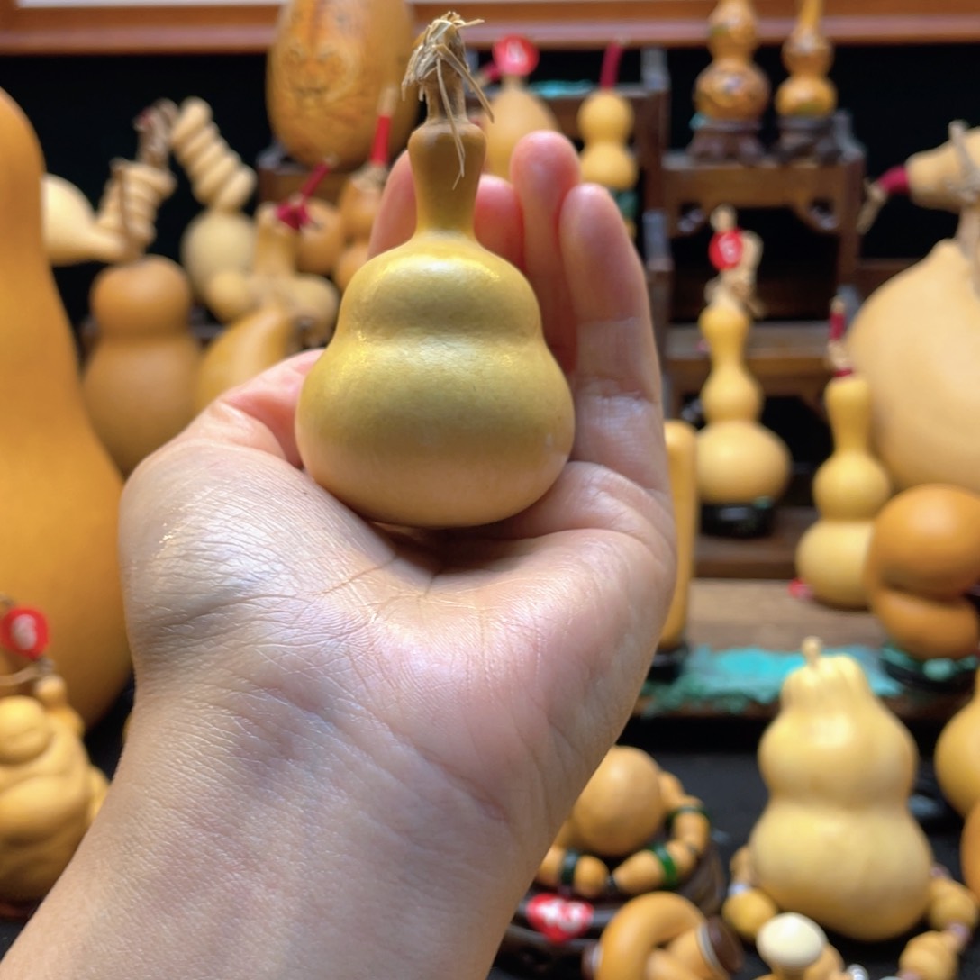 C****-大自然的秘密是什么呢