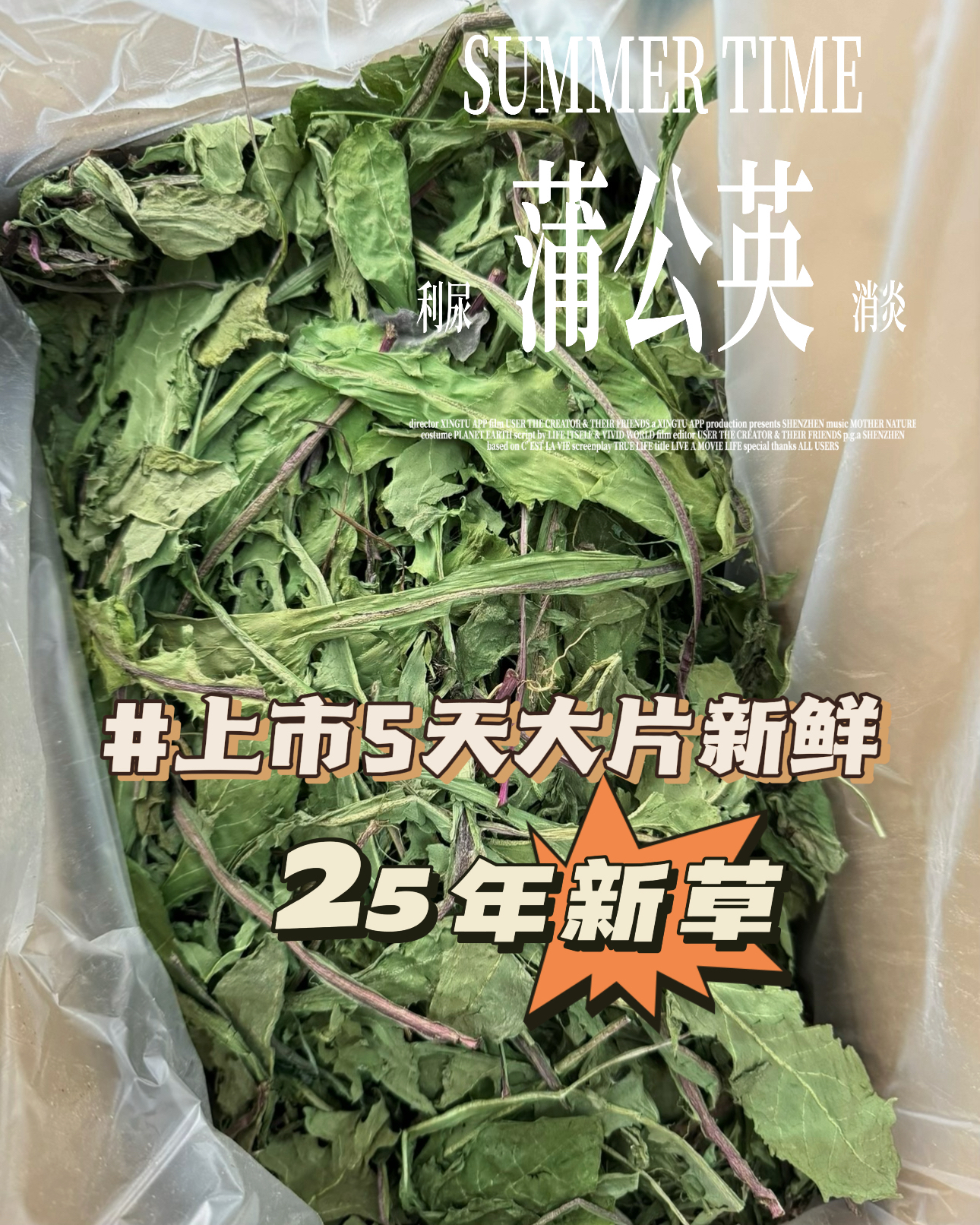蒲公英干草宠物兔子龙猫猪豚鼠零食功能保健草辅草