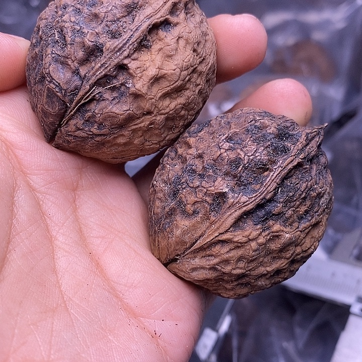 *****手串文玩核桃   203