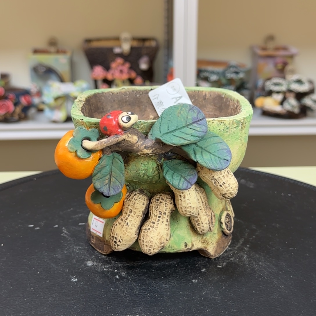 A648 【闪购】多肉花盆