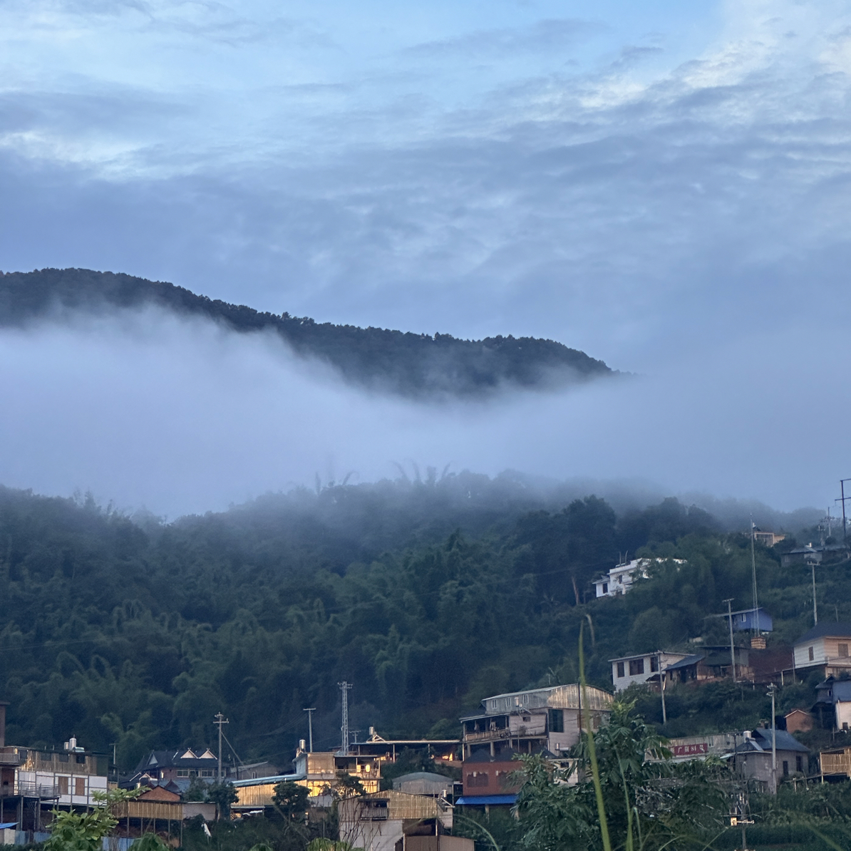 25广别大树头春头采 （水库地块）