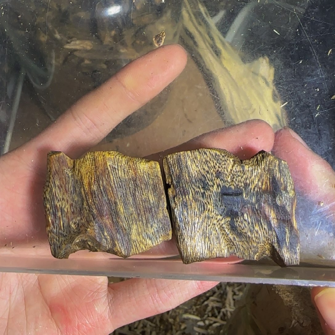 言***&沉香陆河块料发一份