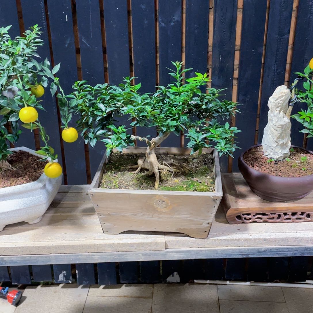 完全开放P****程八房柑八房柑八房