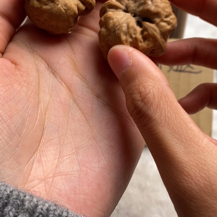 文玩核桃吊坠E**阳骨产