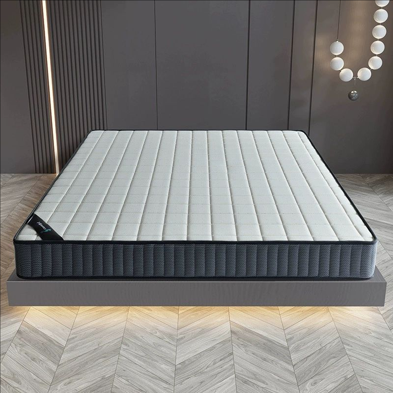 南品尚选席梦思硬垫20cm厚1.8m1.5米椰棕床垫家用独立弹簧床垫