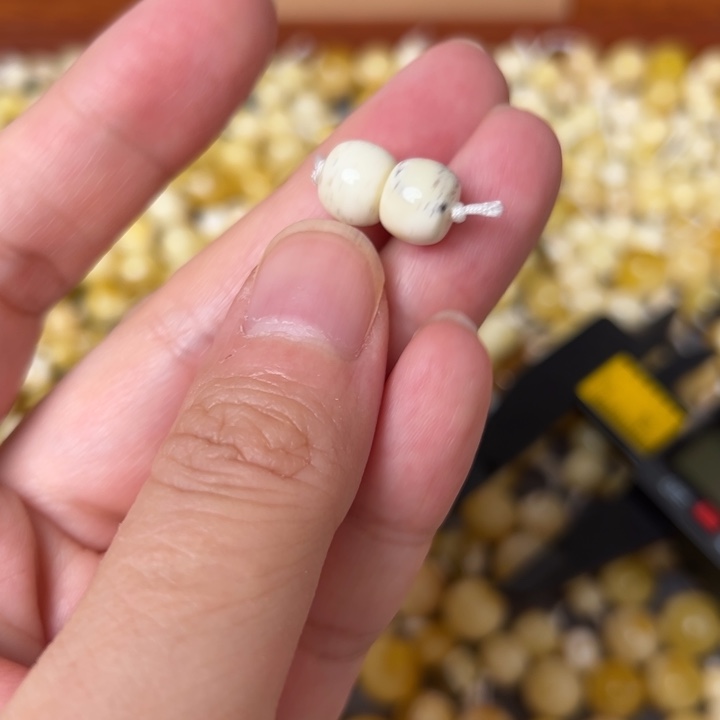 蜜蜡未镶嵌裸石8.5mm一对