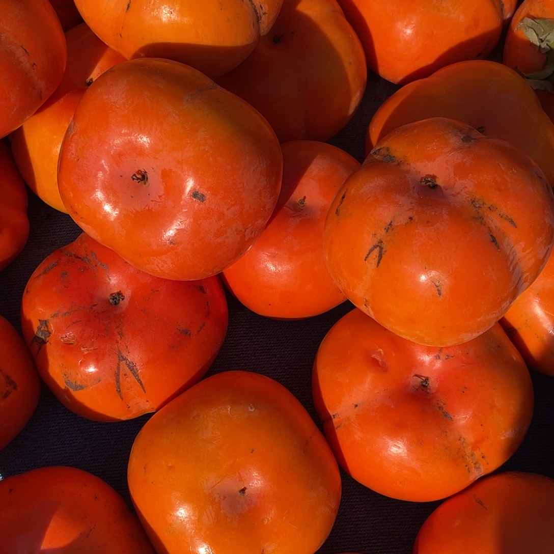 中国大陆柿子十斤含箱赶集