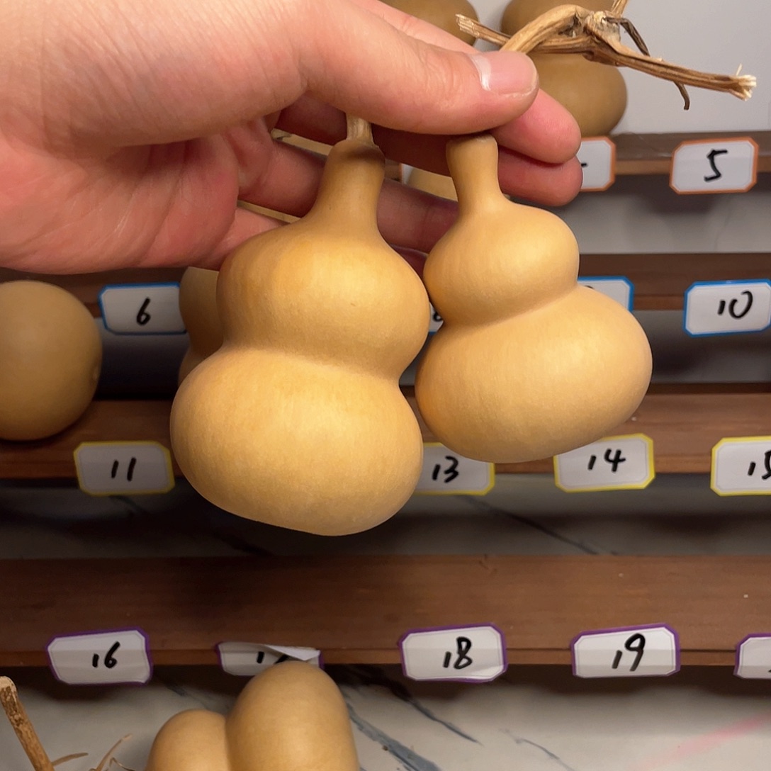 西***泡葫芦葫芦葫芦葫芦