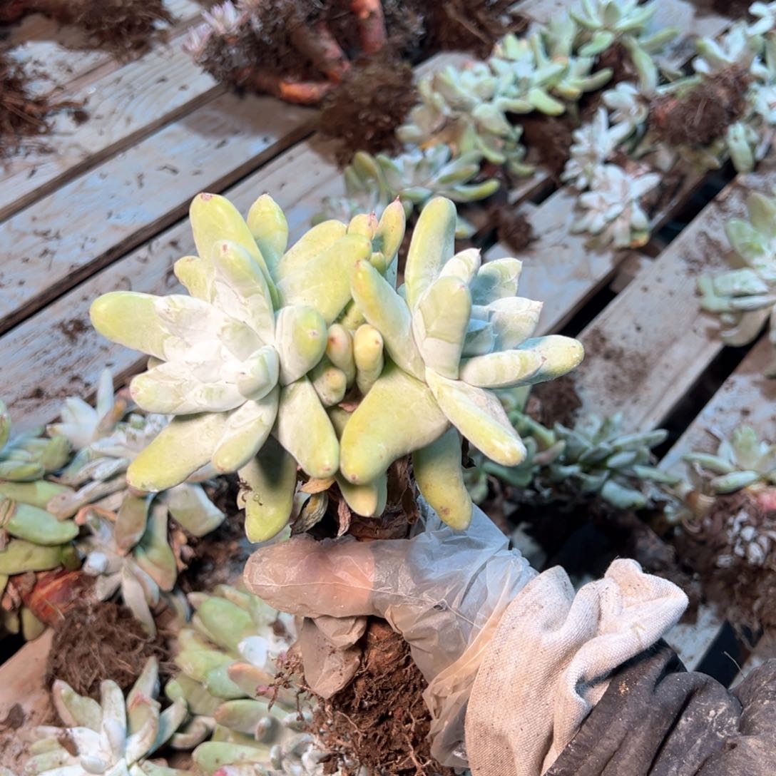 7343哈哈哈哈哈哈哈哈