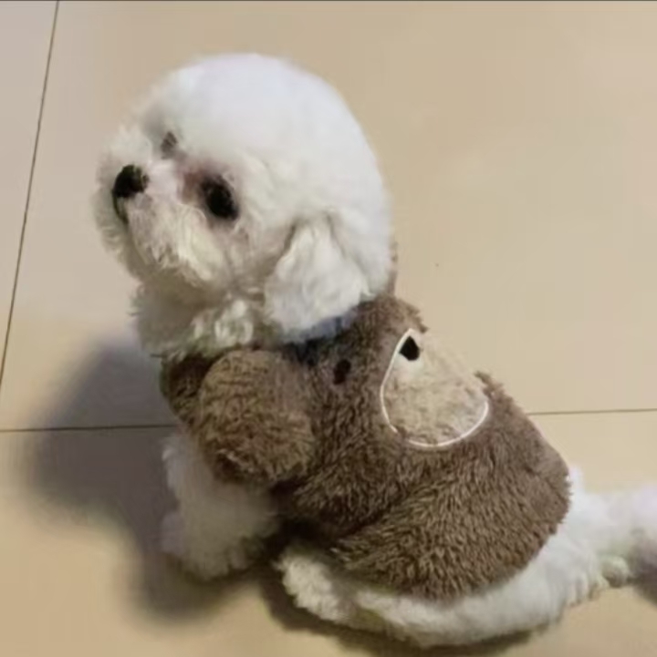 李班长萌宠比熊小狗