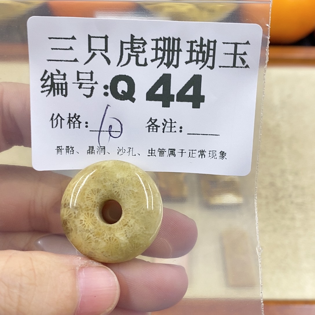 硅化珊瑚（珊瑚玉）1未镶嵌你****有