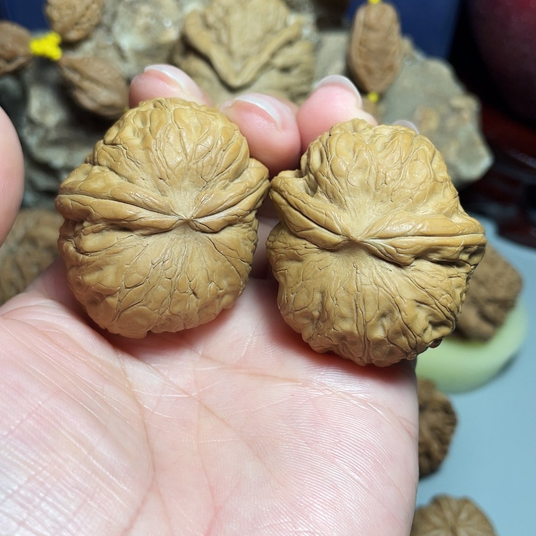 核桃手串/手链精品元宝飞蛇
