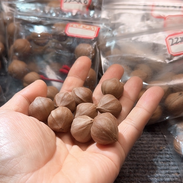 吊坠橄榄核开*者2.1❌2.4