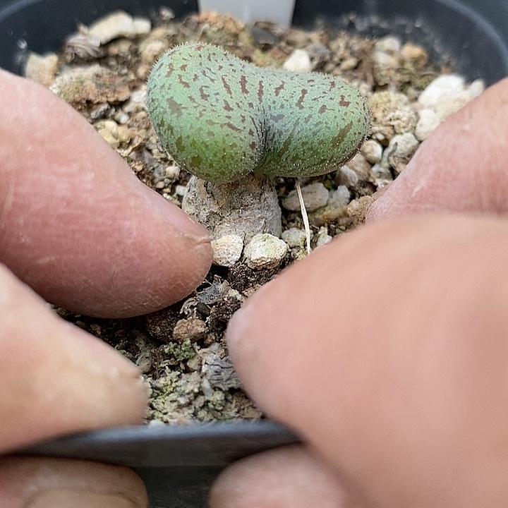 越*樾274一一一一一一一一一