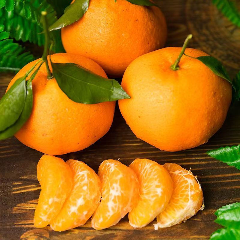 【春节礼盒装】春见耙耙柑约7斤装 手提礼盒装