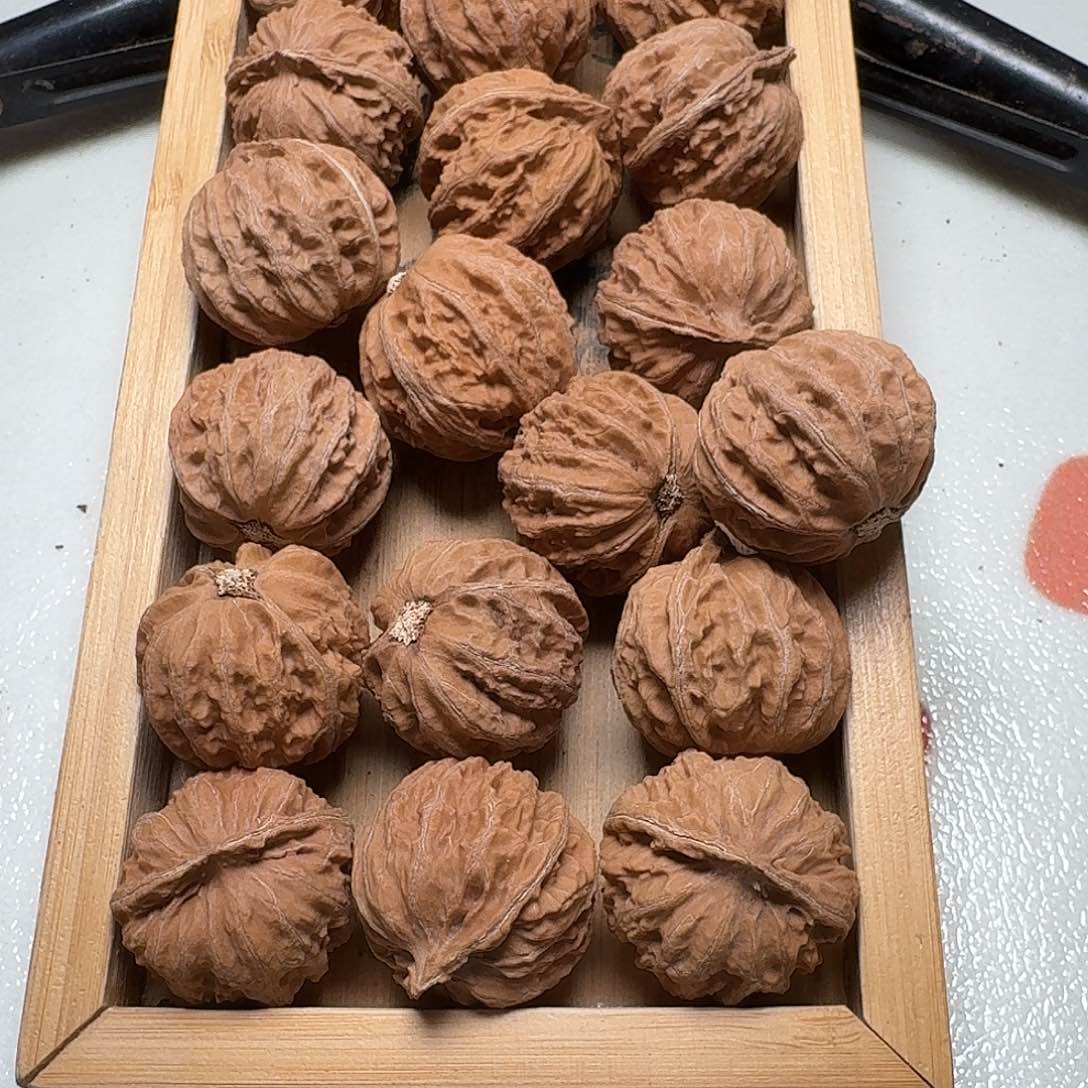 核桃手串/手链27号边31-33