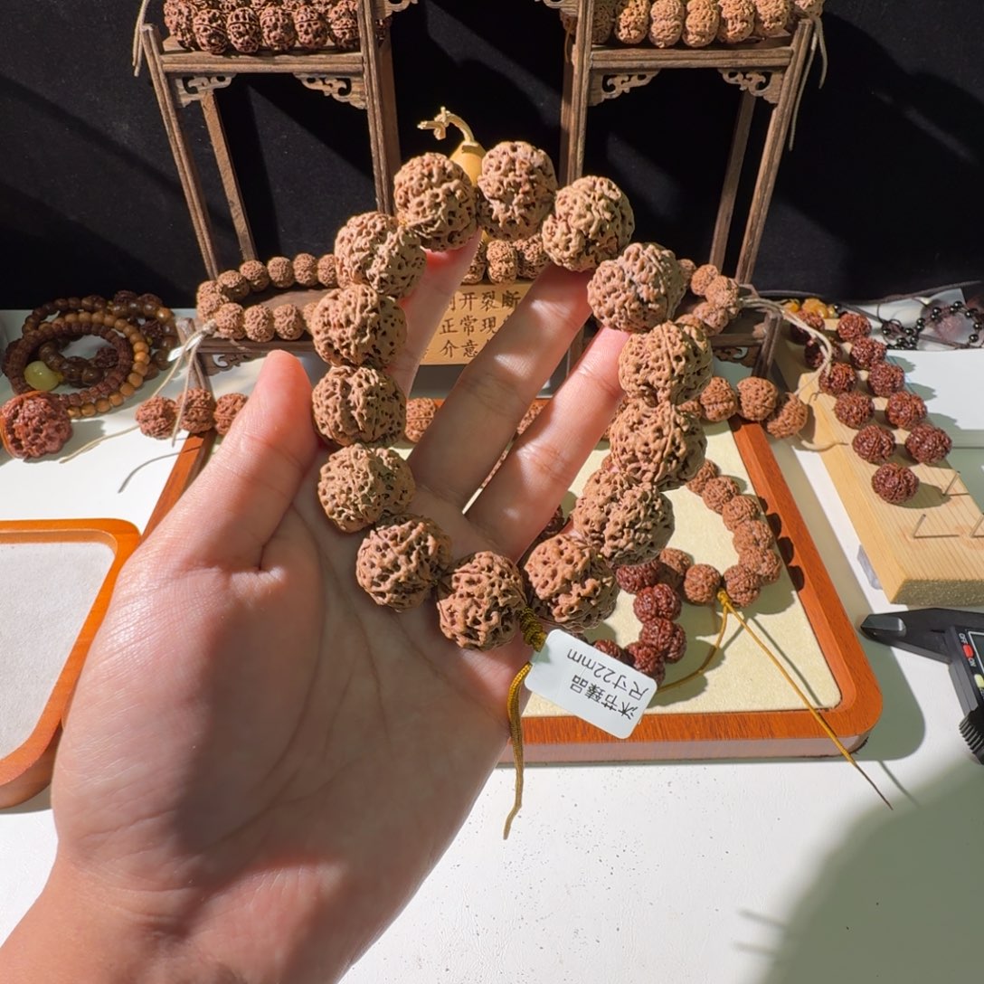 金刚菩提手串22尺寸蜂窝双龙