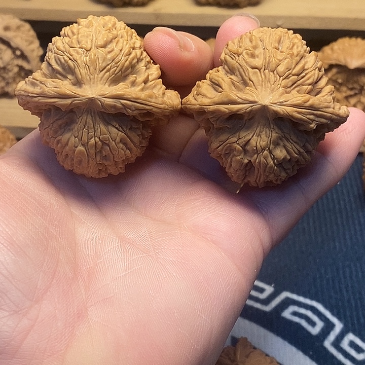核桃47全品南疆石福利